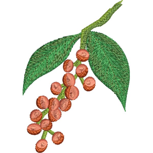NA306 Thumbnail